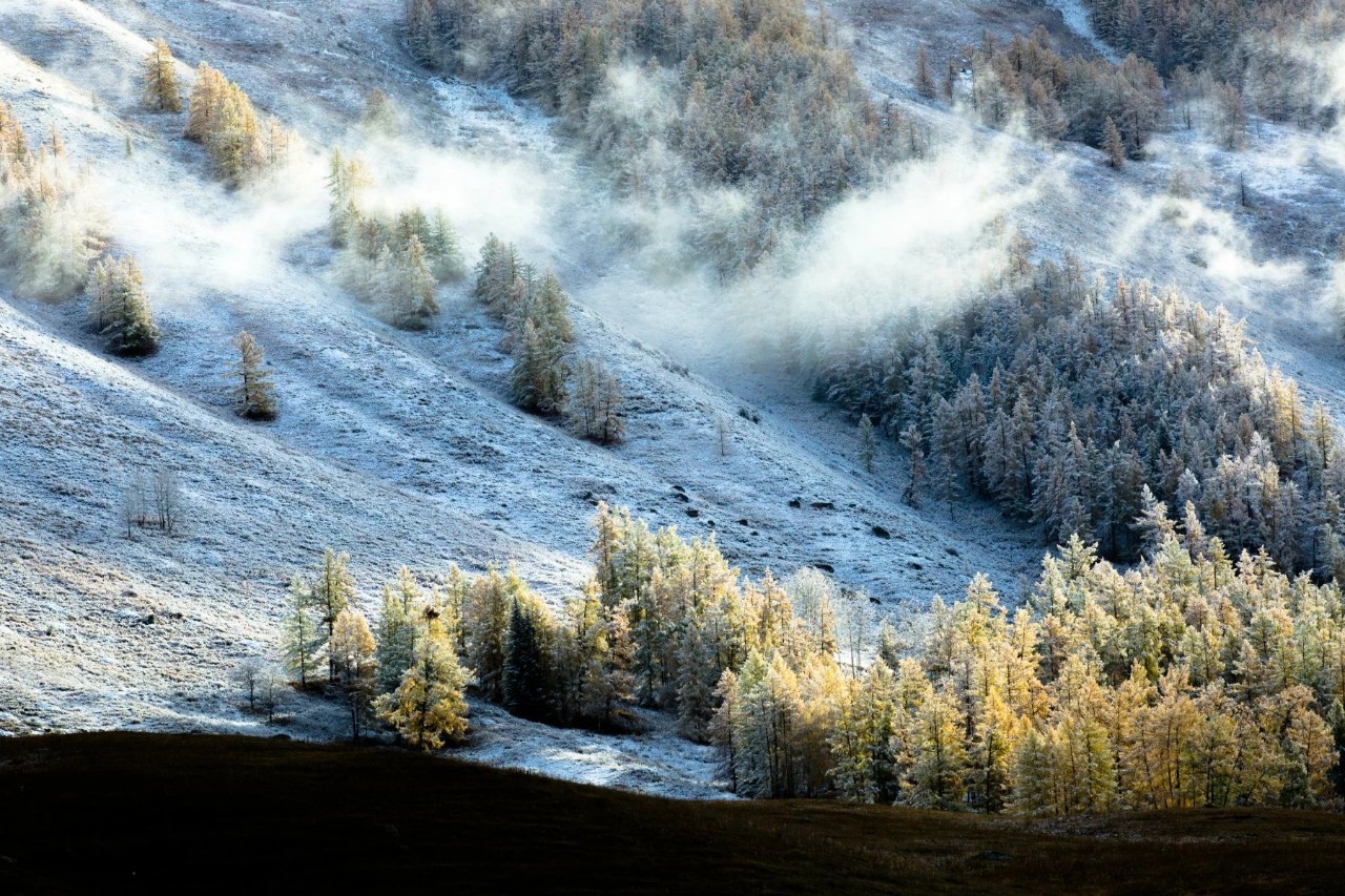 新疆,神秘多元魅力之地的探索与揭秘